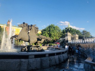 IMG_9162