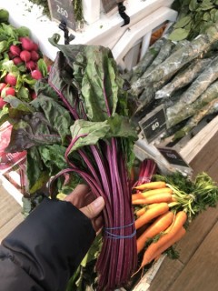 8F437896-576A-4EAD-BB10-6A3C8B418CAC-450x6001