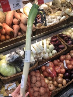 B2E2F8EC-7B06-4E29-974A-2A465576EA9F-450x6001