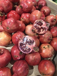 9E910D92-2E04-4213-8993-ED90AB709168